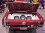 65 trunk view