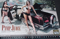 Lowrider of the Month - Picture taken of the centerfold until we get the original from Lowrider Magazine!